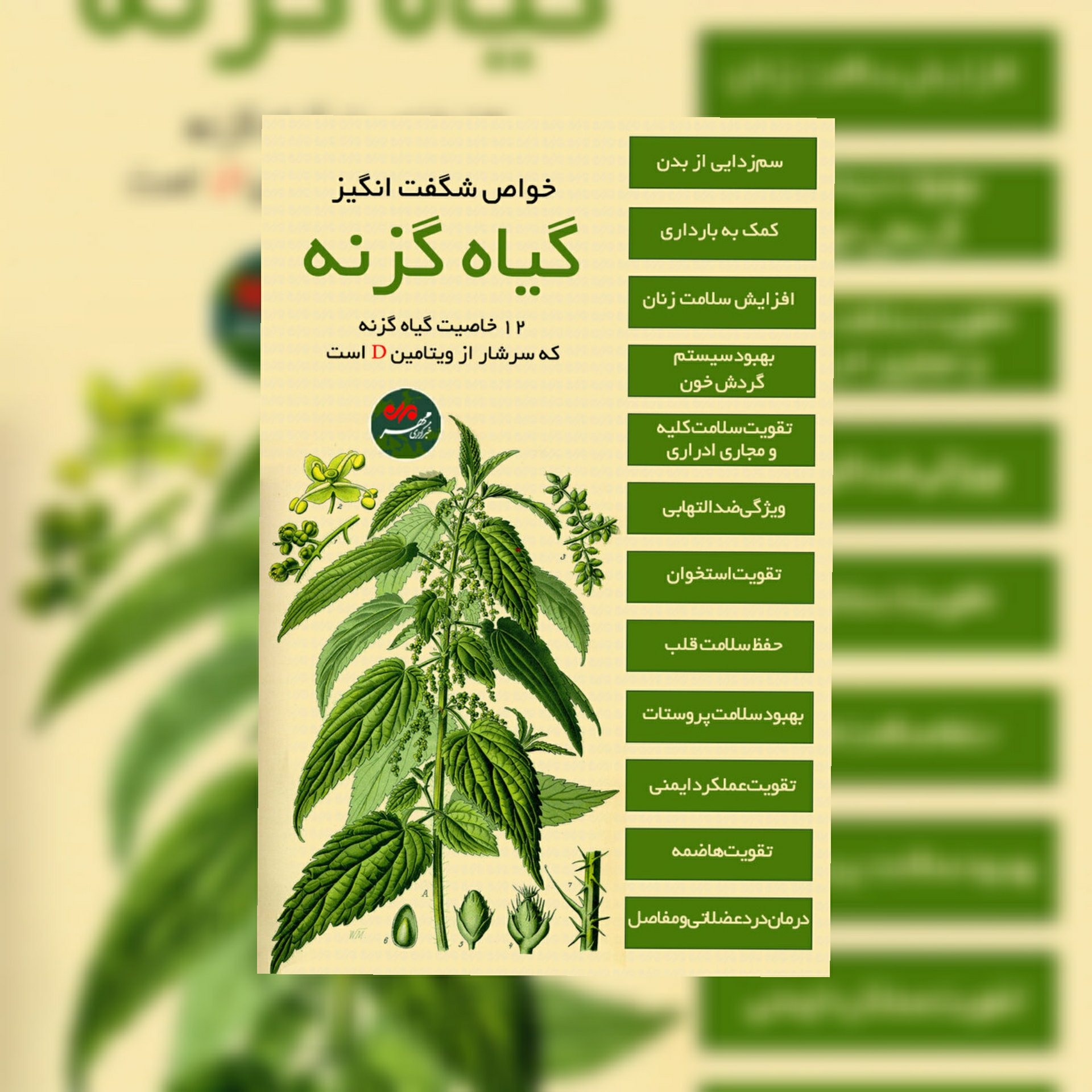 عرق گزنه درجه یک بیشه