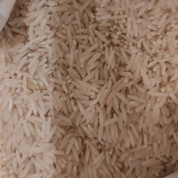برنج طارم استخوانی