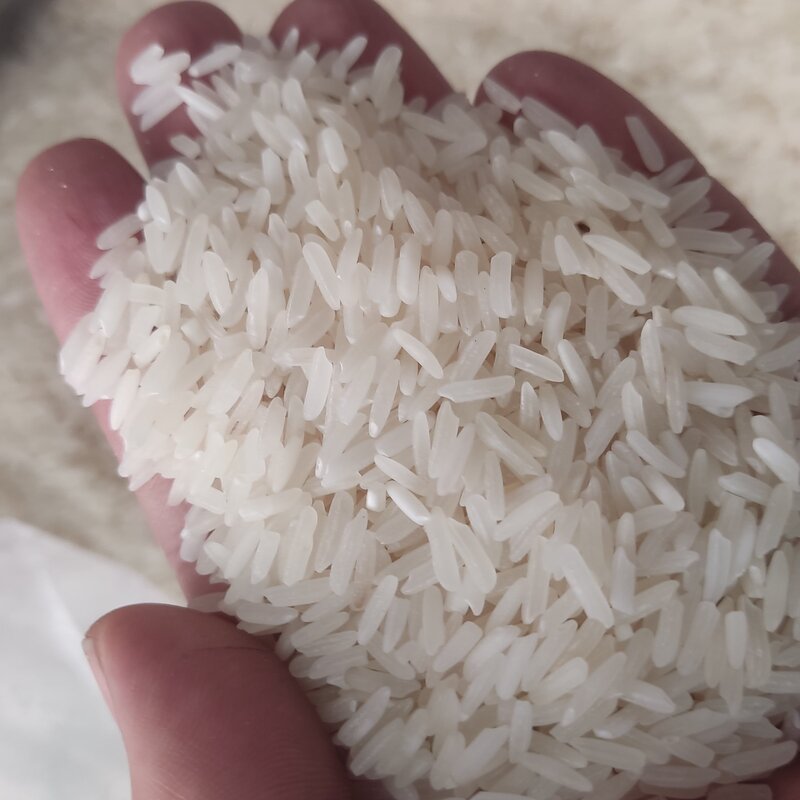 برنج پرمحصول ندا مازندران صد در صد ایرانی با خرید هر صد کیلو در تهران