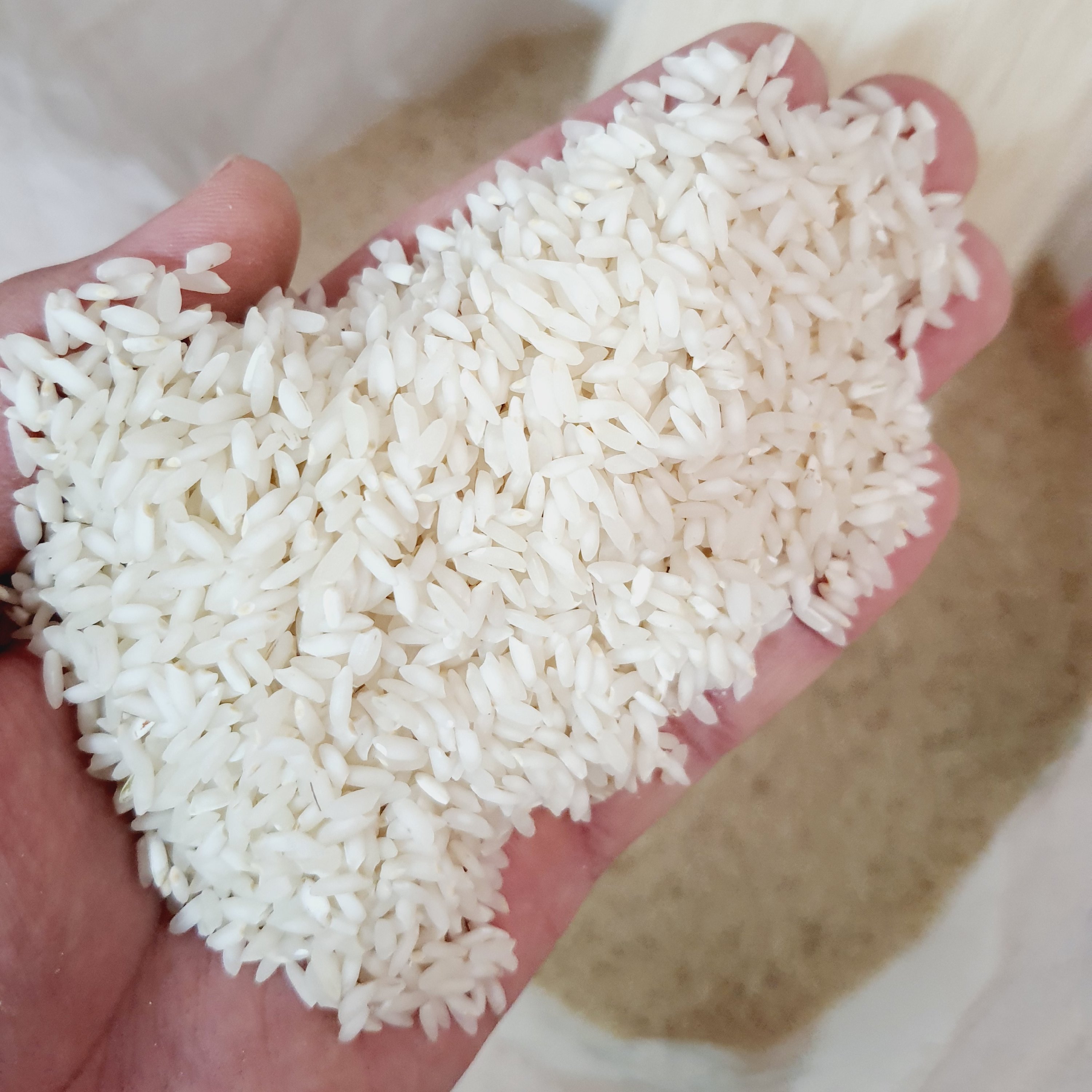 برنج چمپا میداوود درجه1 حاج احمد 