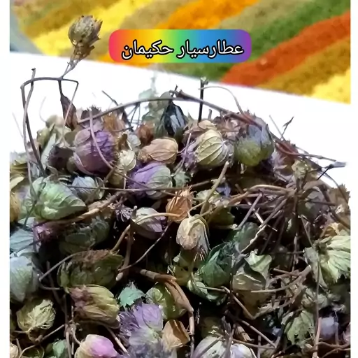 گل زوفا ( 20 گرمی ) درمان سرماخوردگی و عفونت