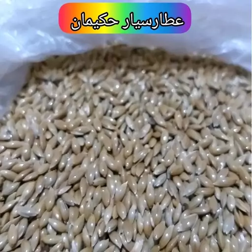 تخم کتان سفید (500 گرمی)