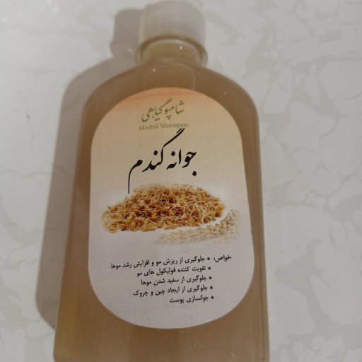 شامپو گیاهی جوانه گندم