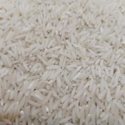 برنج طارم فریدونکنار(10کیلوئی)