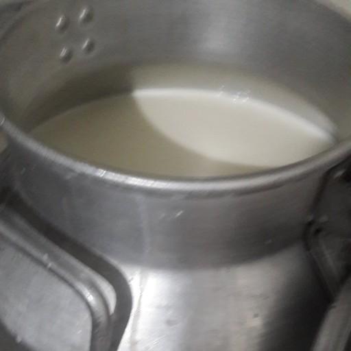 شیر عمده پرچرب گاوی