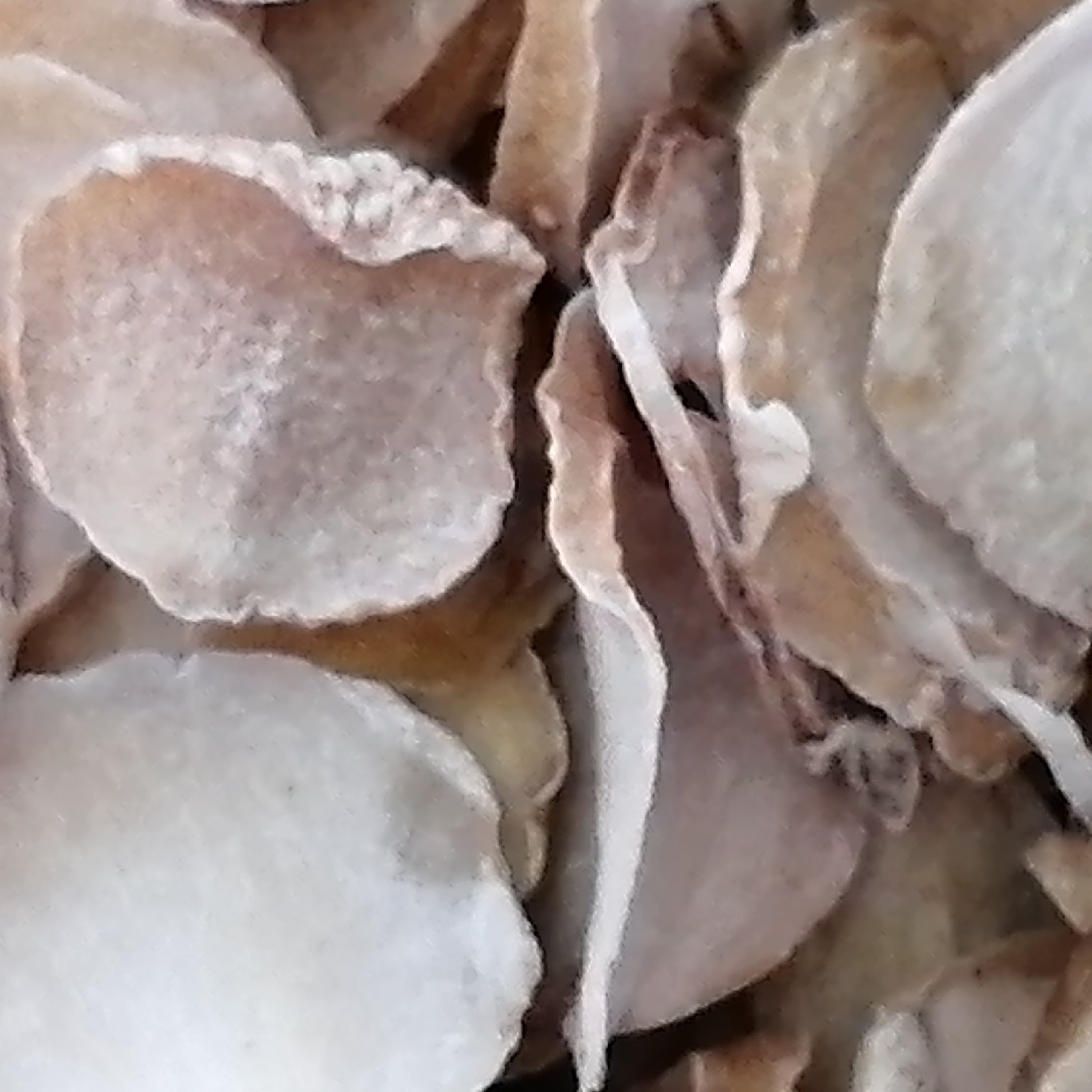 موسیر اعلا و درجه یک (75 گرمی)