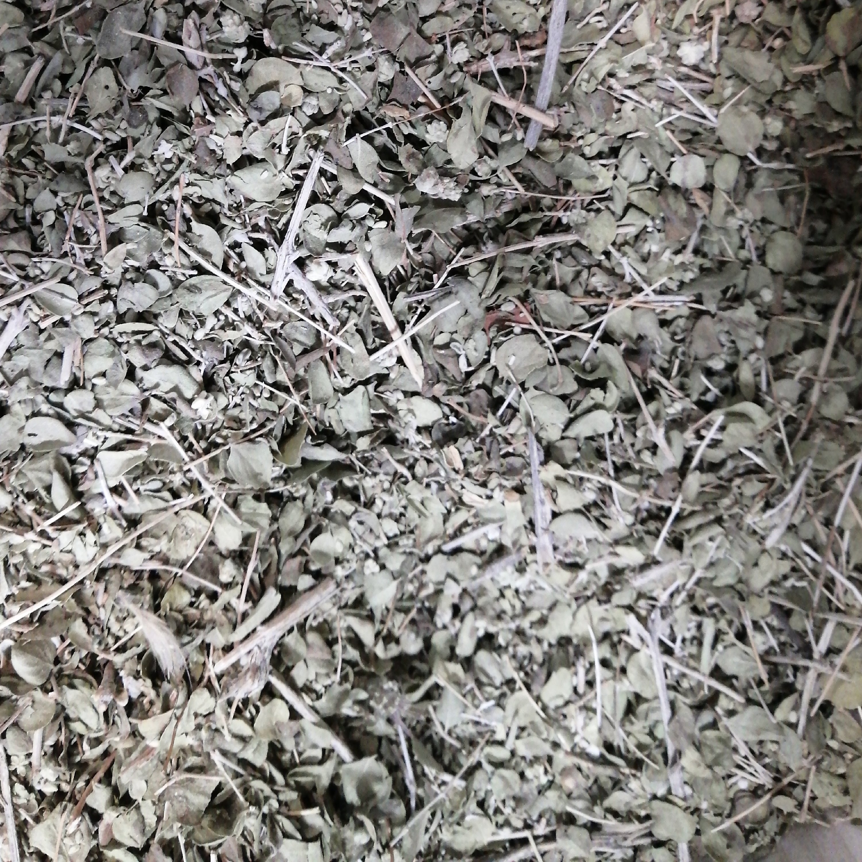 آویشن شیرازی اعلا75 گرم ZATAR LEAVES - أوراق زعتر