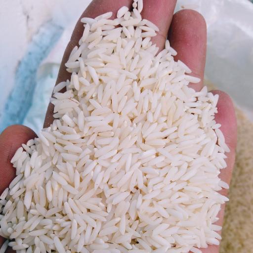 برنج هاشمی   درجه یک آستانه اشرفیه