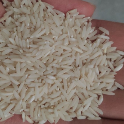 برنج طارم هاشمی اصل مازندران بدون ناخالصی