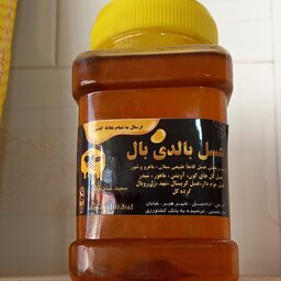 شهد عسل چهل گیاه ممتازطلایی (1 کیلویی) بالدی بال