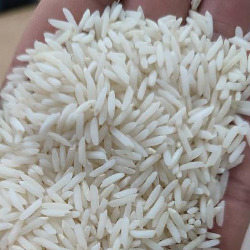 برنج طارم محلی عطری  فریدونکنار (سورت شده) ده کیلویی  ارسال رایگان