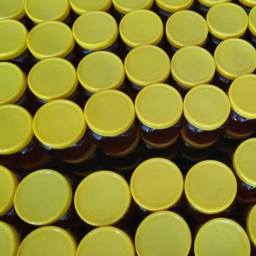 عسل طبیعی گشنیز صاف کوه‌های گرین به قیمت عمده ( ساکارز زیر 5)