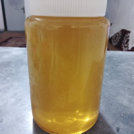 عسل طبیعی از جنگل های شمال