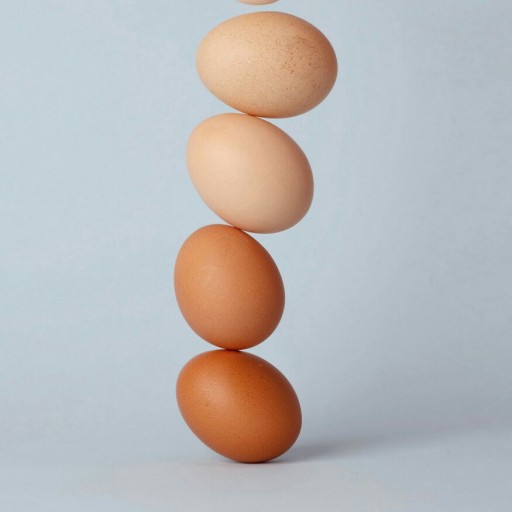 تخم مرغ محلی 1کیلویی از مرغهای خانگی ننه عصمت