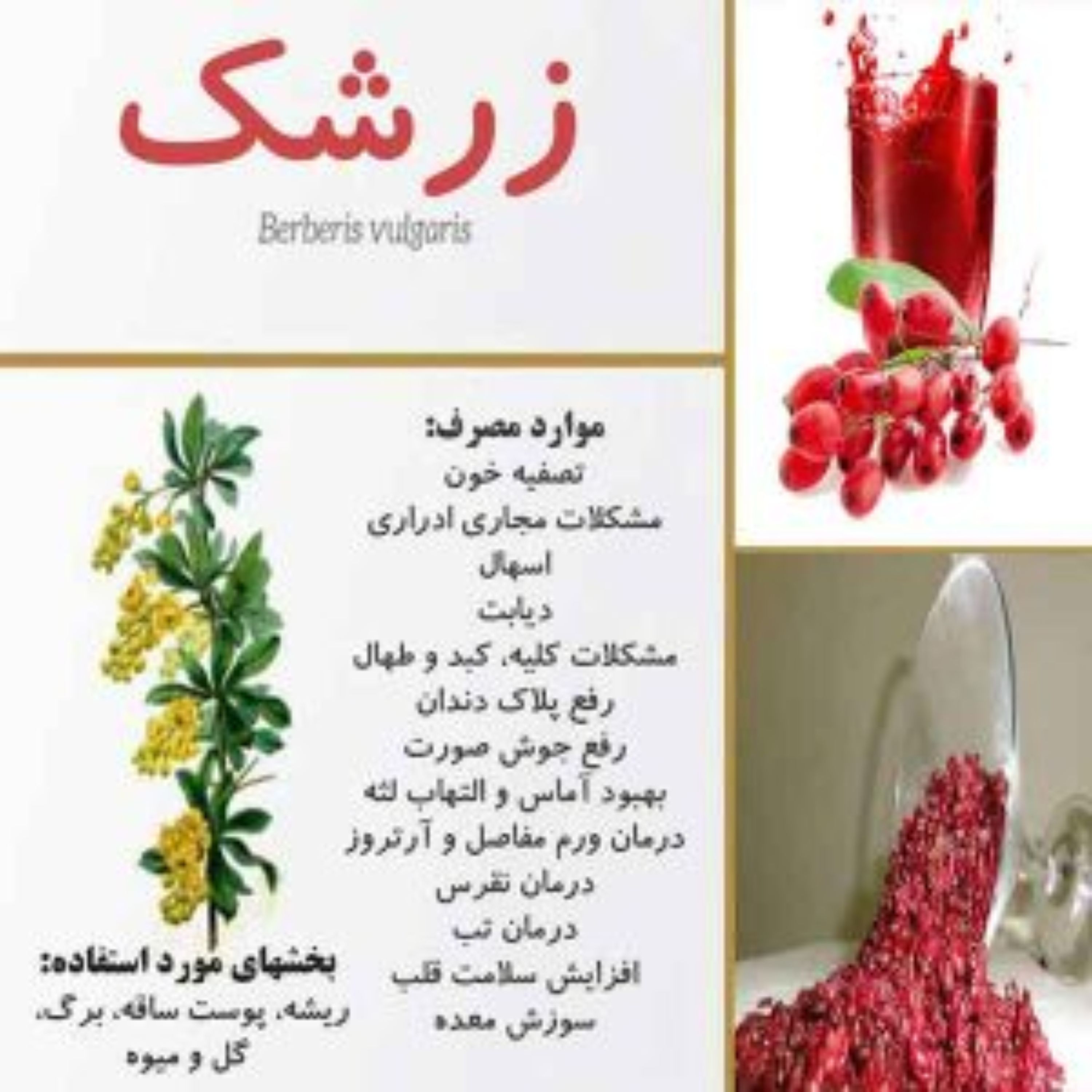 زرشک دانه اناری اعلا قائنات 250 گرمی