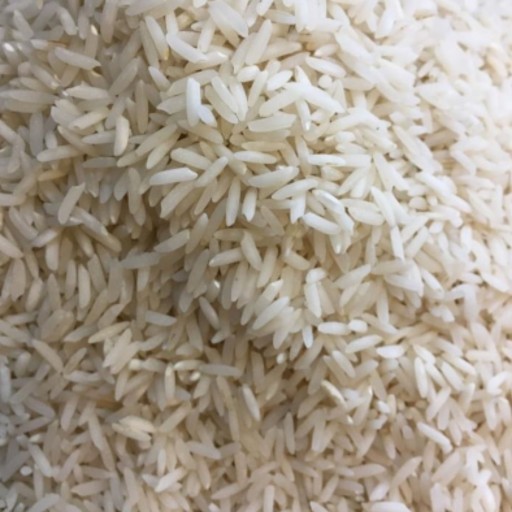 برنج طارم اشرافی گیلان کشت دوم 10 کیلوگرم
