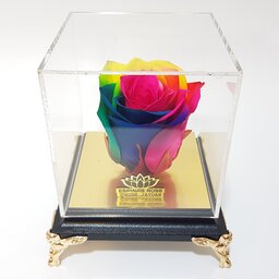 گل رز جاودان هفت رنگ پایه مبلی طرح سنگ  همراه باکس ، کاور کادویی و روبان