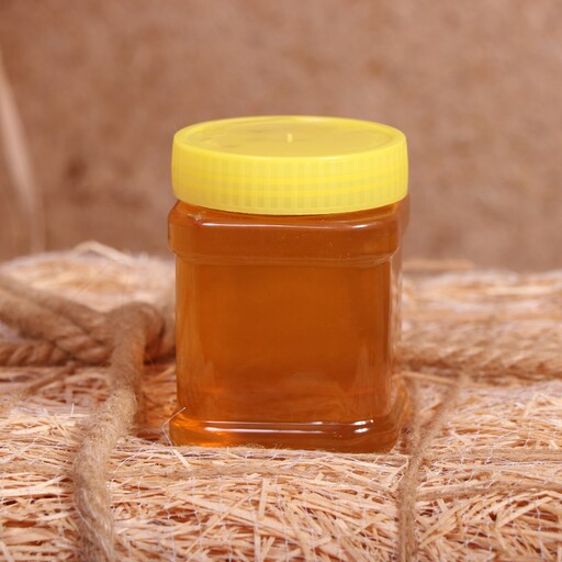 عسل طبیعی چند گیاه ( 500 گرم )