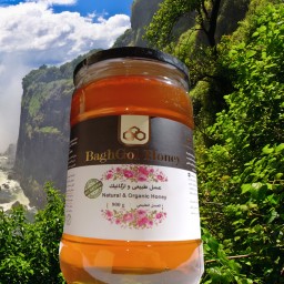 عسل با شهد گشنیـز اصل خوانسار - طبیعی