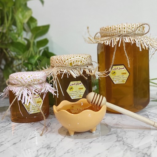 عسل گون ‌طبیعی‌ دو کیلویی با هدیه ویژه و ساکارز زیر سه برداشت تازه ی امسال
