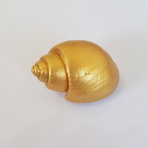 صدف حلزونی طلایی