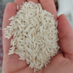 برنج طارم هاشمی اعلا خوشطعم (25کیلویی) ارسال رایگان