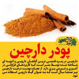 پودر دارچین درجه یک عمومسعود 100 گرمی