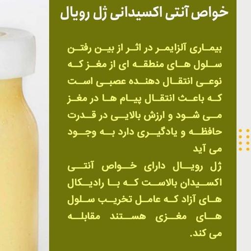 10 گرم ژل رویال اصل ملکه ایرانی در 80 گرم عسل کنار اعلا (شاه انگبین) ارسال رایگان 