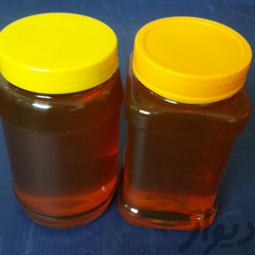 عسل گون کوهی دامنه سبلان (مستقیم از زنبوردار) یک کیلو گرم