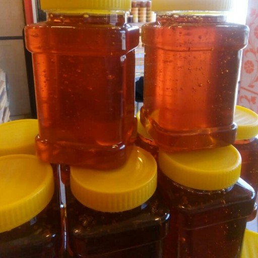 عسل اسطوخودوس طبیعی سبلان اعلاء (مستقیم از زنبوردار) یک کیلو گرم