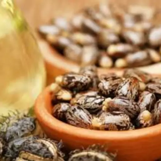 روغن کرچک دست ساز 30 سی سی