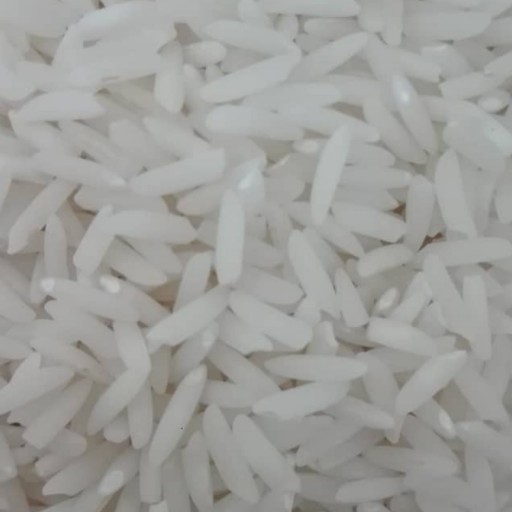 برنج اعلا هاشمی درجه یک لاهیجان