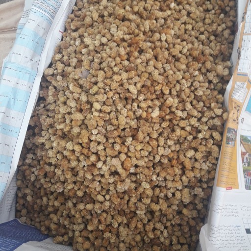 3 کیلو توت خشک اعلا (ارسال رایگان از باسلام)  600 هزار تومان