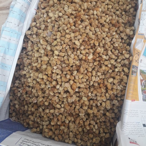 5 کیلو توت خشک اعلا (ارسال رایگان از باسلام) با تخفیف ویژه