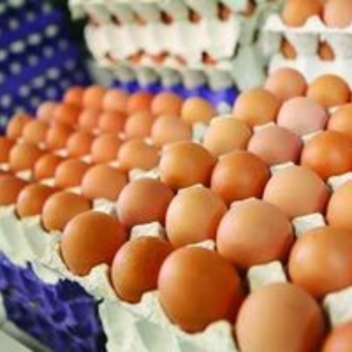 تخم مرغ متوسط محلی یک کارتن (متوسط وزن هر تخم مرغ 41گرم)