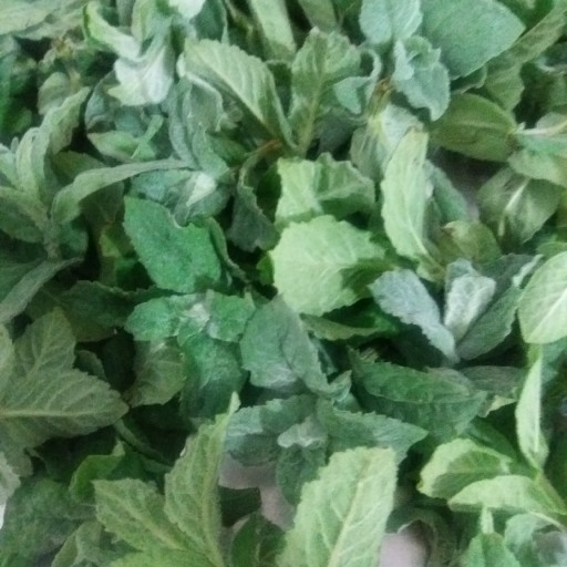 سبزی خشک خالواش کوهی 100گرمی