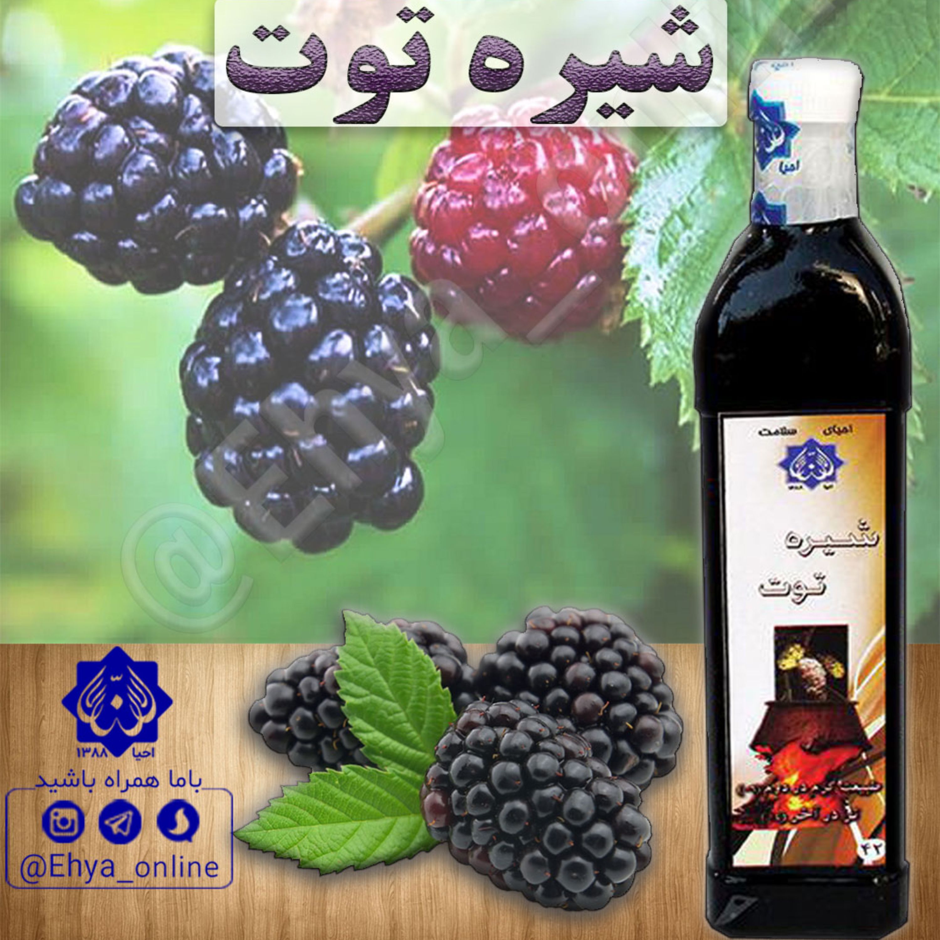 شیره توت روازاده ارگانیک احیای سلامت