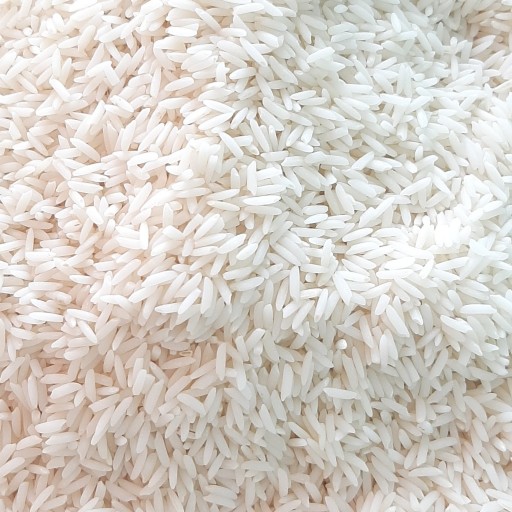 برنج ایرانی طارم شیرودی سفارشی درجه یک گیلان