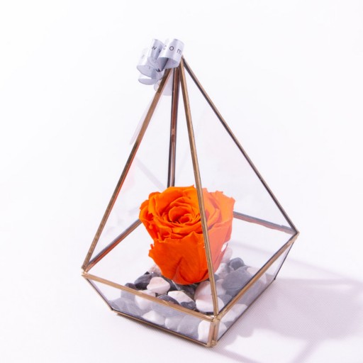 رز جاودان مدل تراریوم کوچک نارنجی