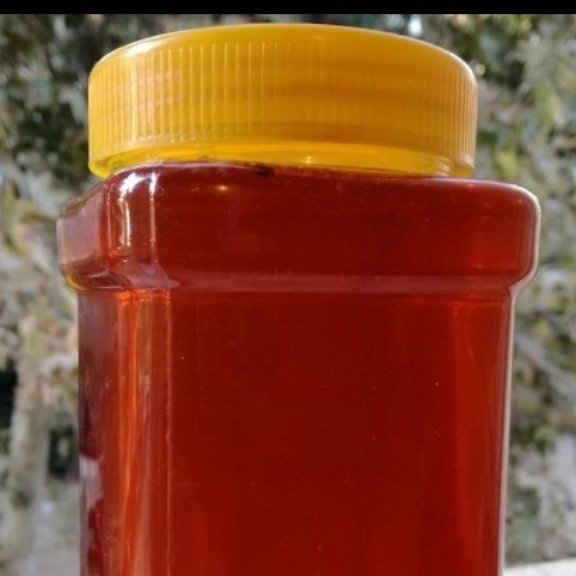 عسل کاکوتی شهد 1کیلویی(عسل فروشی بهاره سبلان سرعین)