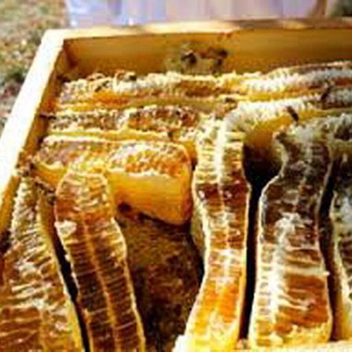 عسل طبیعی آفتابگردان شهد 4کیلویی(عسل فروشی بهاره سبلان سرعین)