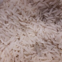 برنج طارم ندای شمال 50 کیلویی
