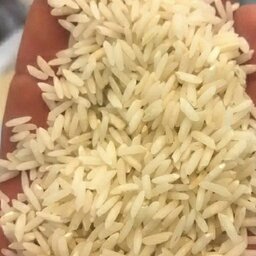 برنج طارم امرللهی شمال 25 کیلویی