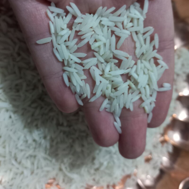 برنج طارم استخوانی شیرودی اعلا امساله جویبار10 کیلویی