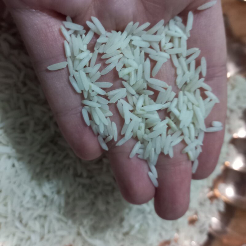 برنج طارم استخوانی شیرودی اعلا امساله  جویبار 20 کیلویی