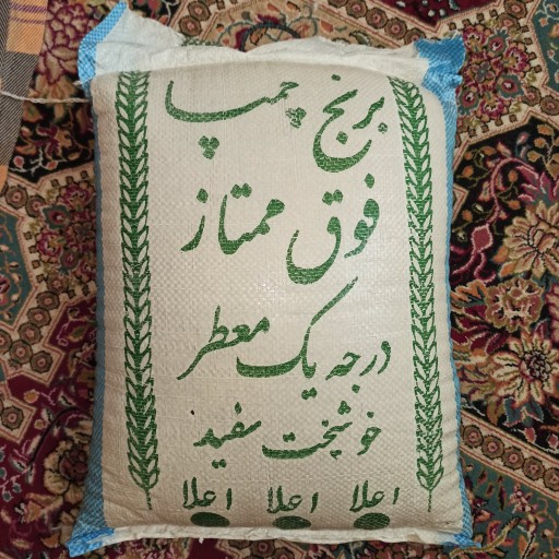 برنج چمپا شوشتر