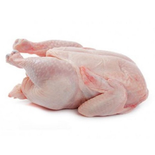 مرغ گرم تازه (2000 گرمی) زیر قیمت تنظیم بازار