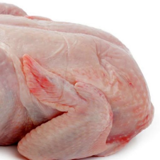 مرغ گرم تازه (2000 گرمی) زیر قیمت تنظیم بازار