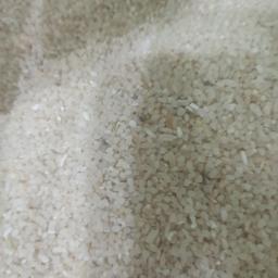 برنج نیمدانه کامفیروزی اعلا درجه 1 تضمین کیفیت