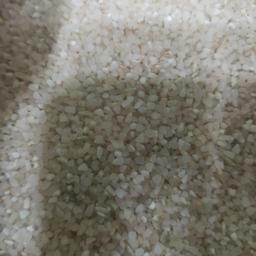خورده برنج کامفیروزی اعلا درجه 1 تضمین کیفیت